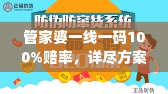 管家婆一线一码100%赔率，详尽方案解析_ZOT8.13.70复古版