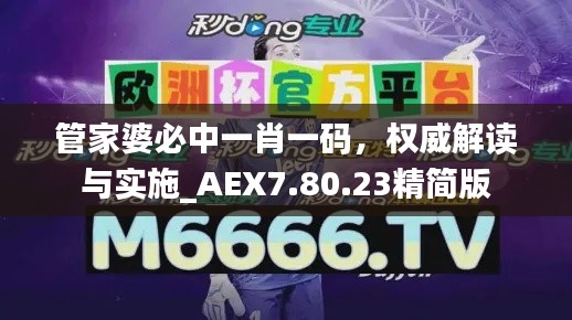 管家婆必中一肖一码，权威解读与实施_AEX7.80.23精简版