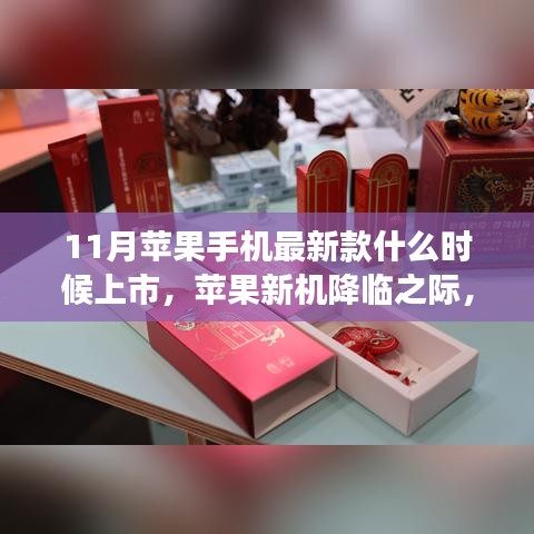 联系方式 第382页