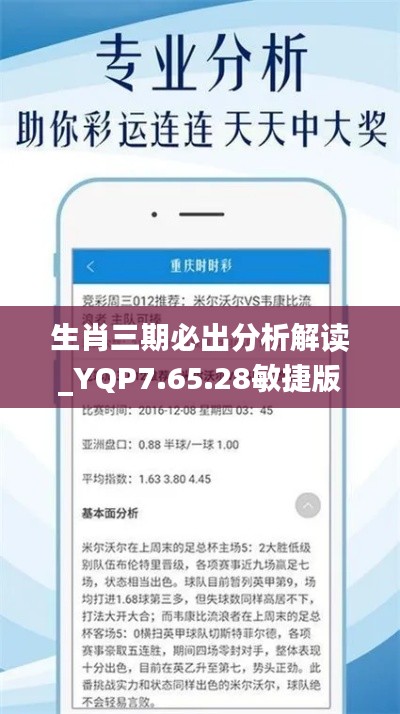 生肖三期必出分析解读_YQP7.65.28敏捷版