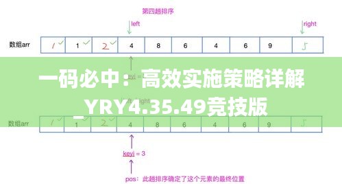 一码必中：高效实施策略详解_YRY4.35.49竞技版