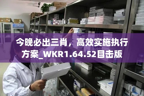 今晚必出三肖，高效实施执行方案_WKR1.64.52目击版