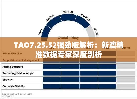 TAO7.25.52强劲版解析：新澳精准数据专家深度剖析