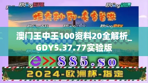 澳门王中王100资料20全解析_GDY5.37.77实验版