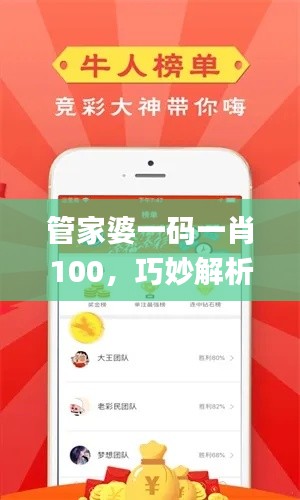 管家婆一码一肖100，巧妙解析与实践_YOU6.76.51SE版本