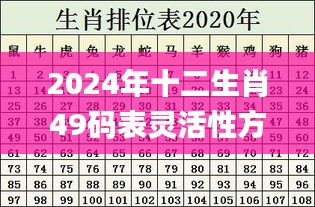 2024年十二生肖49码表灵活性方案评估_WJA7.36.55便签版