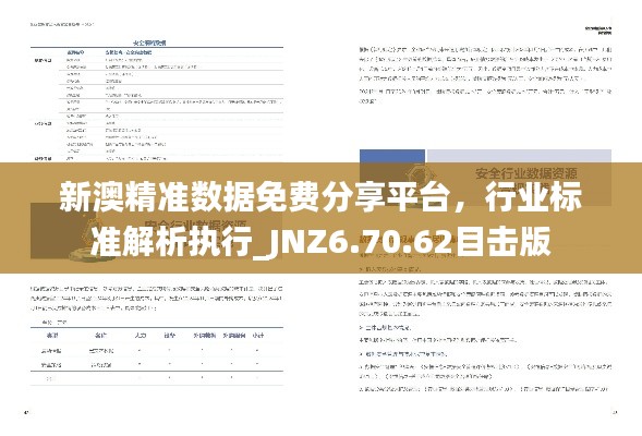 新澳精准数据免费分享平台，行业标准解析执行_JNZ6.70.62目击版