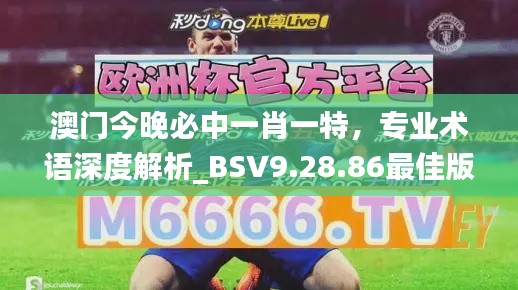 澳门今晚必中一肖一特，专业术语深度解析_BSV9.28.86最佳版本