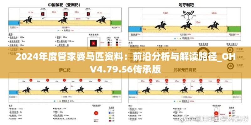 2024年度管家婆马匹资料：前沿分析与解读路径_OHV4.79.56传承版