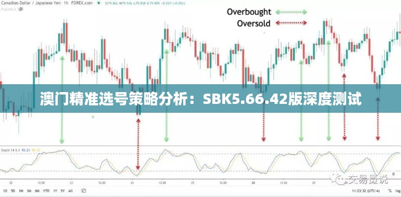 新闻资讯 第528页