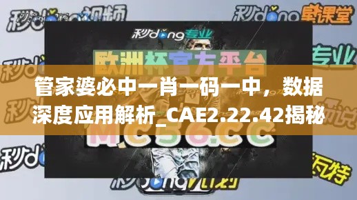 管家婆必中一肖一码一中，数据深度应用解析_CAE2.22.42揭秘版