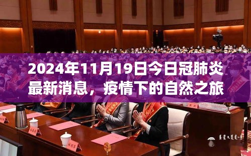 疫情下的自然之旅，探索美景与寻找内心宁静的启示录——基于2024年11月19日新冠肺炎最新消息的旅行思考