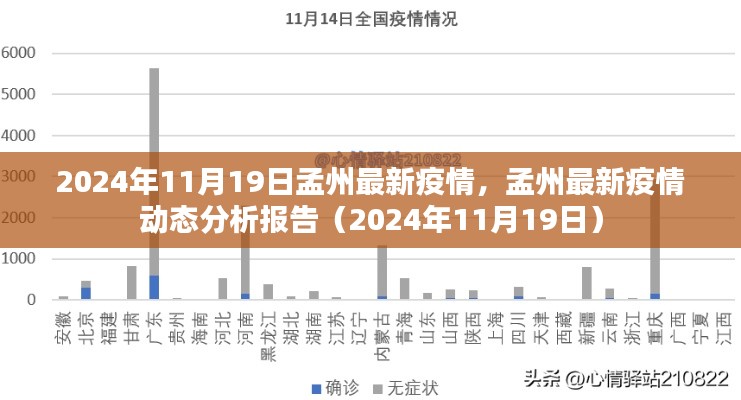 孟州最新疫情动态分析报告（截至2024年11月19日）