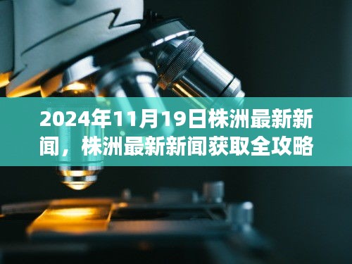 2024年11月19日株洲最新新闻解读与获取全攻略