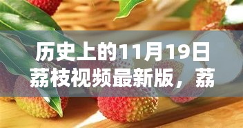 荔枝视频最新版，科技重塑视听体验，11月19日历史性革新回顾