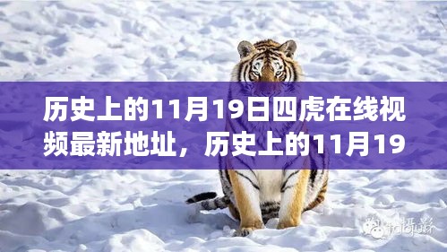 历史上的11月19日四虎在线视频最新地址，历史上的11月19日与四虎在线视频的交织，最新资讯与探索