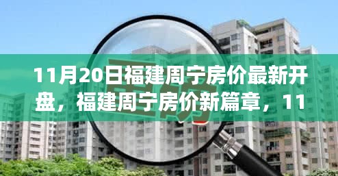 福建周宁房价最新动态，11月20日新篇章开启，开盘背后的故事与影响分析