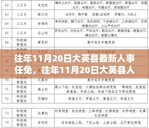 往年11月20日大英县人事任免深度解析，透视人事变动背后的观点与立场