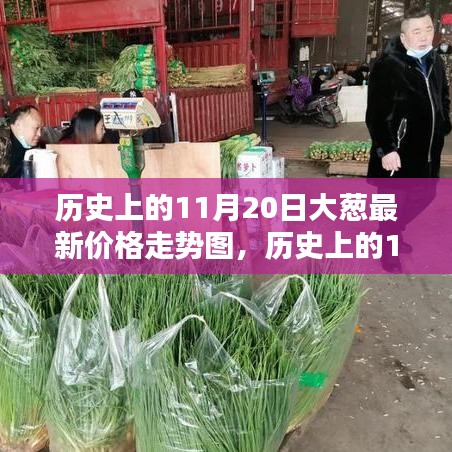 历史上的11月20日大葱价格走势详解及最新价格趋势图