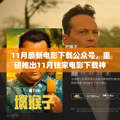 独家电影下载神器揭秘，科技引领观影新纪元，11月最新电影公众号火热上线！