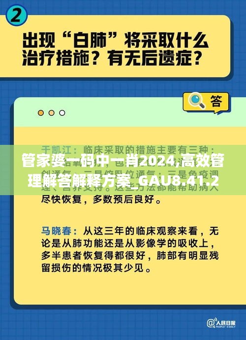 管家婆一码中一肖2024,高效管理解答解释方案_GAU8.41.21预测版