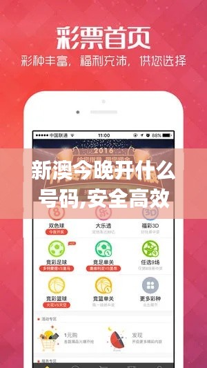 新澳今晚开什么号码,安全高效计划落实_KMQ3.61.44活力版