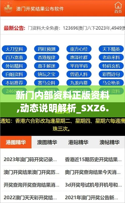 新门内部资料正版资料,动态说明解析_SXZ6.21.75开放版