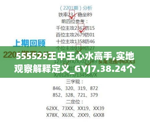 555525王中王心水高手,实地观察解释定义_GYJ7.38.24个性版