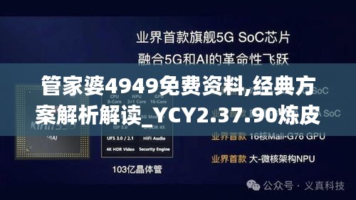 管家婆4949免费资料,经典方案解析解读_YCY2.37.90炼皮境