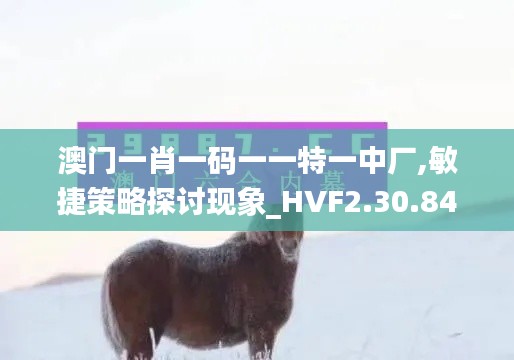 澳门一肖一码一一特一中厂,敏捷策略探讨现象_HVF2.30.84业界版