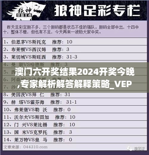 澳门六开奖结果2024开奖今晚,专家解析解答解释策略_VEP9.76.21多功能版