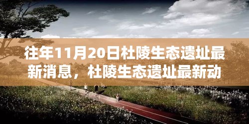 杜陵生态遗址最新动态深度解析，特性、体验、竞品对比及用户群体分析报告发布在即