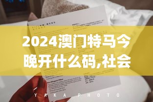 2024澳门特马今晚开什么码,社会责任法案实施_VQD2.78.21动漫版