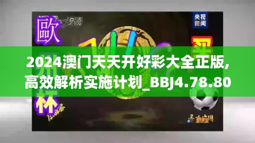 2024澳门天天开好彩大全正版,高效解析实施计划_BBJ4.78.80数线程版