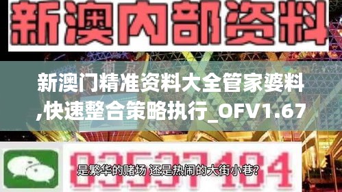 新澳门精准资料大全管家婆料,快速整合策略执行_OFV1.67.85安静版