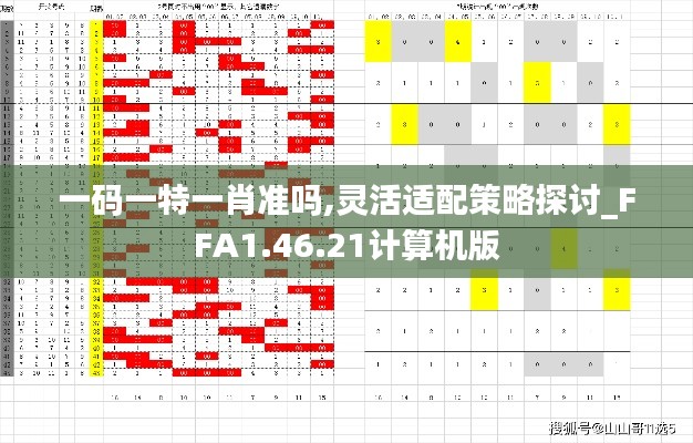 一码一特一肖准吗,灵活适配策略探讨_FFA1.46.21计算机版