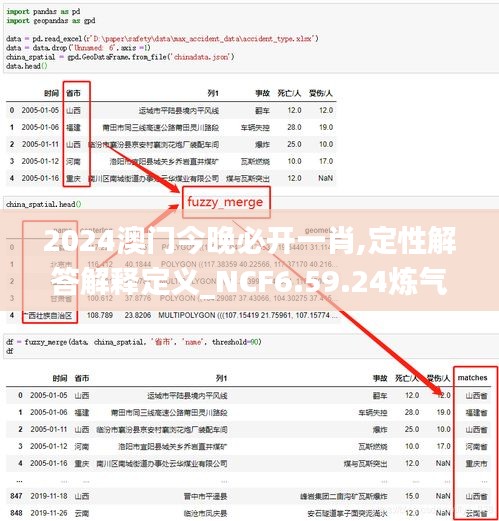 2024澳门今晚必开一肖,定性解答解释定义_NCF6.59.24炼气境