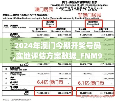 2024年澳门今期开奖号码,实地评估方案数据_FNM9.13.23习惯版