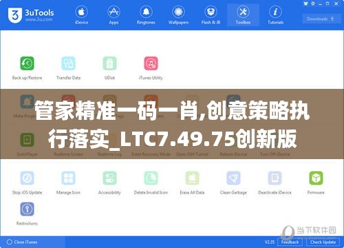 管家精准一码一肖,创意策略执行落实_LTC7.49.75创新版