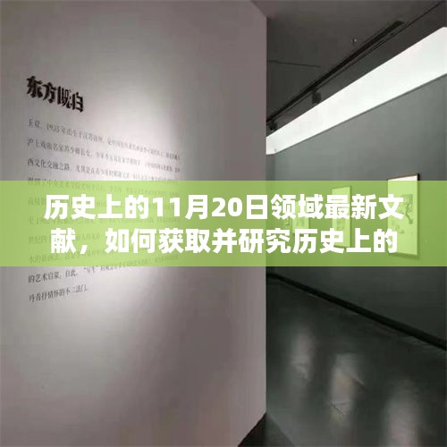 详细步骤指南，获取并研究历史上11月20日领域最新文献的方法与途径