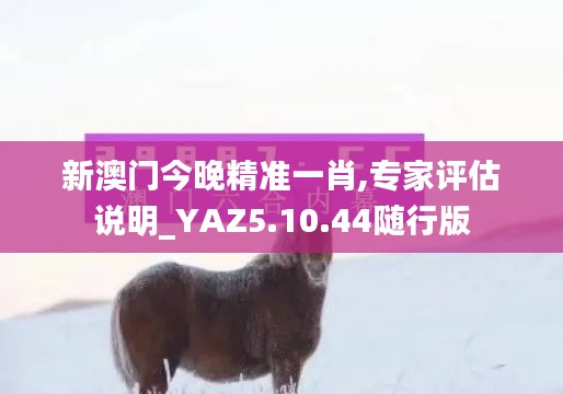 新澳门今晚精准一肖,专家评估说明_YAZ5.10.44随行版