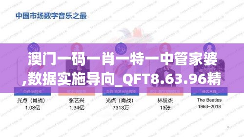 澳门一码一肖一特一中管家婆,数据实施导向_QFT8.63.96精简版