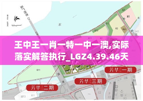 王中王一肖一特一中一澳,实际落实解答执行_LGZ4.39.46天然版