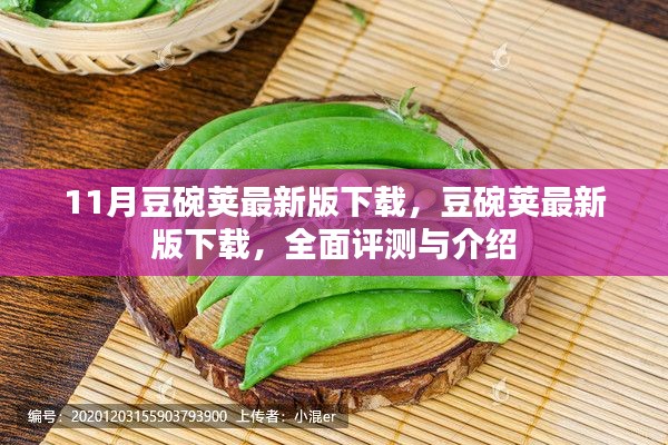 豆碗荚最新版下载，全面评测与详细介绍