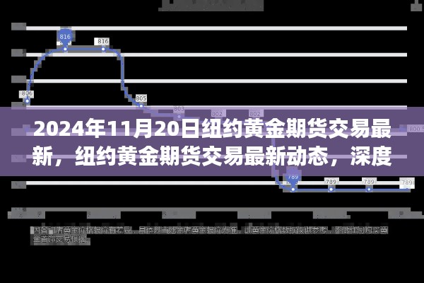 纽约黄金期货交易最新动态深度剖析与用户体验评测（2024年11月版）