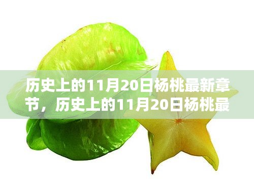 历史上的11月20日杨桃最新章节及获取攻略，初学者与进阶用户的双重指南