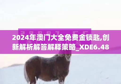 2024年澳门大全免费金锁匙,创新解析解答解释策略_XDE6.48.97味道版