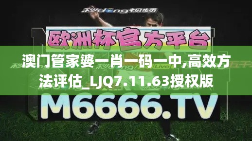 澳门管家婆一肖一码一中,高效方法评估_LJQ7.11.63授权版