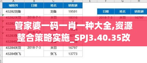 管家婆一码一肖一种大全,资源整合策略实施_SPJ3.40.35改制版