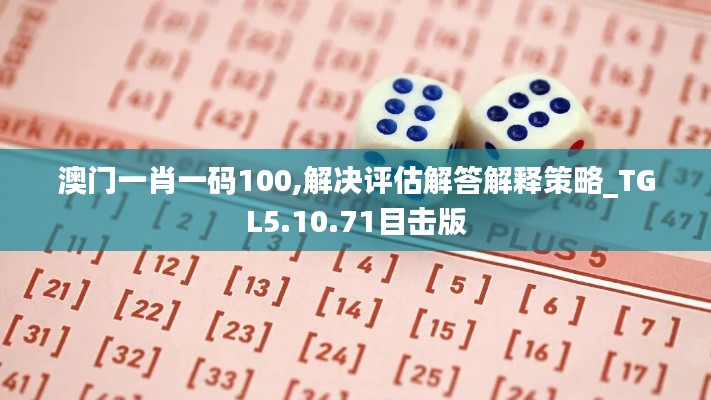 澳门一肖一码100,解决评估解答解释策略_TGL5.10.71目击版